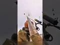 goose_hunting_shot_#bestshot_#huntny