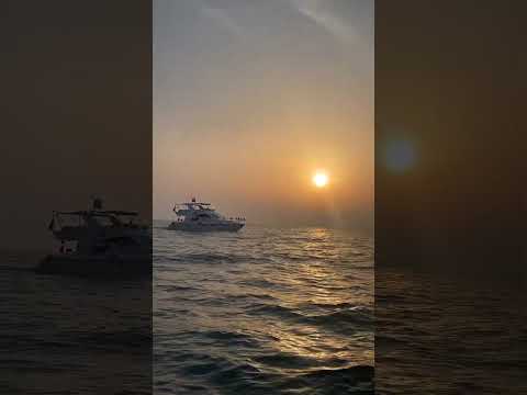 يخت خاص في دبي يتسع 12 شخص ب 399      12 