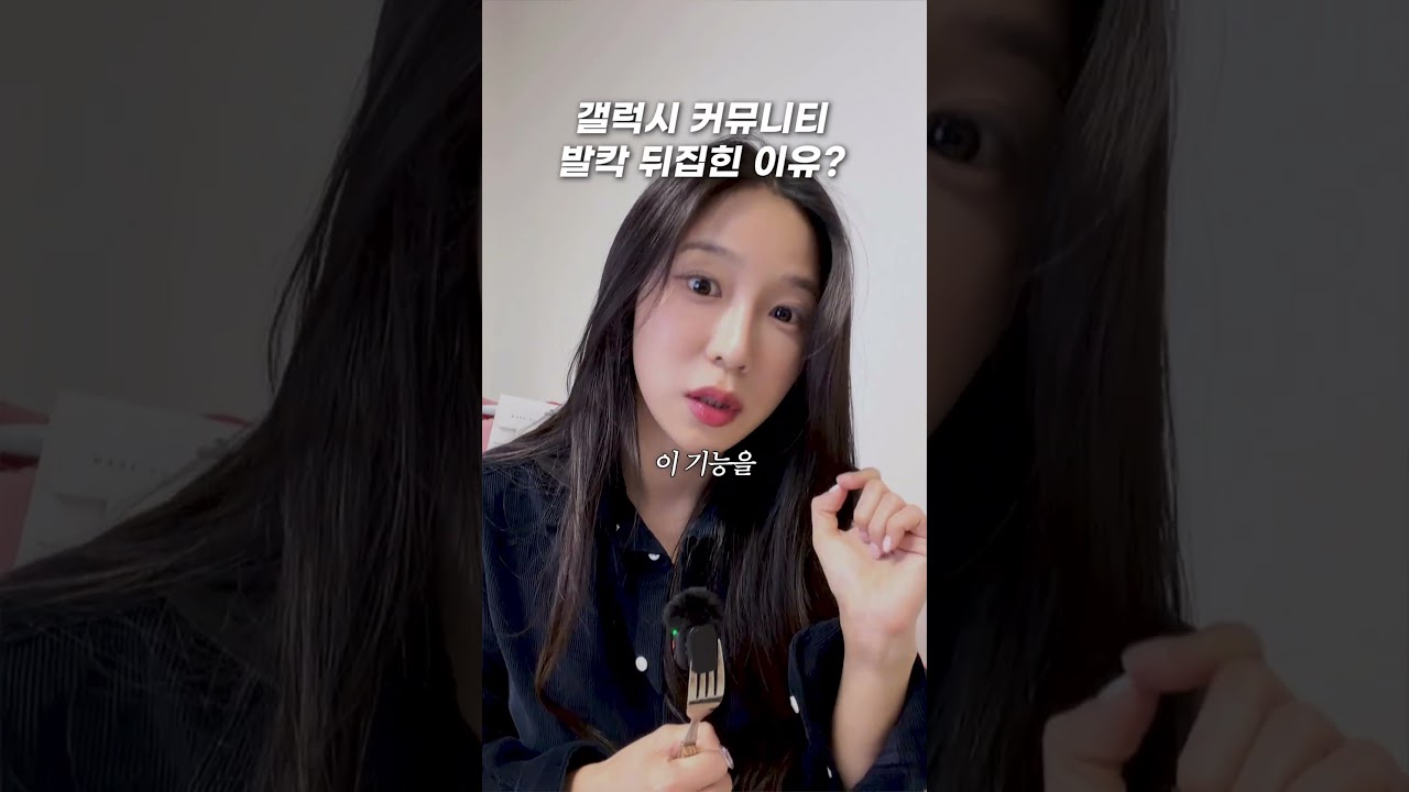 이유라도 알려주시라요