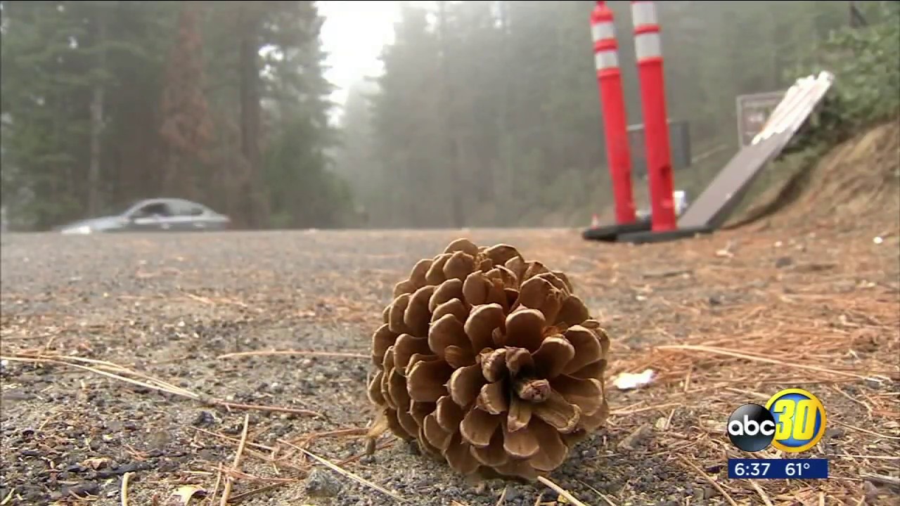 Yosemite Park visitors to see extra road closures over the weekend