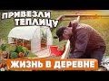 ТЕПЛИЦА ПРИЕХАЛА ! ХОРОШИЕ НОВОСТИ ! [Жизнь в деревне]