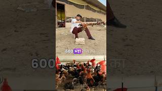 1000 Desi Murgi Paalne Me Kitna Profit Hoga Desi Poultry Farming Desi Egg