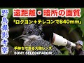 【ロクヨン＋テレコンで840mm】遠距離・暗所撮影の画質は？【野鳥撮影考察】#4K #SEL600F40GM #600mmF4