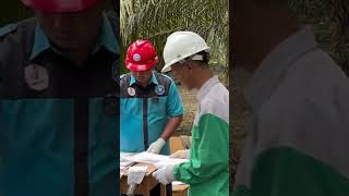 ATP Praktik Pembelajaran di kebun sawit #videopembelajaran #praktikperkebunan #ATP