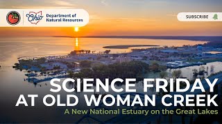 Science Friday with Emily Tyner