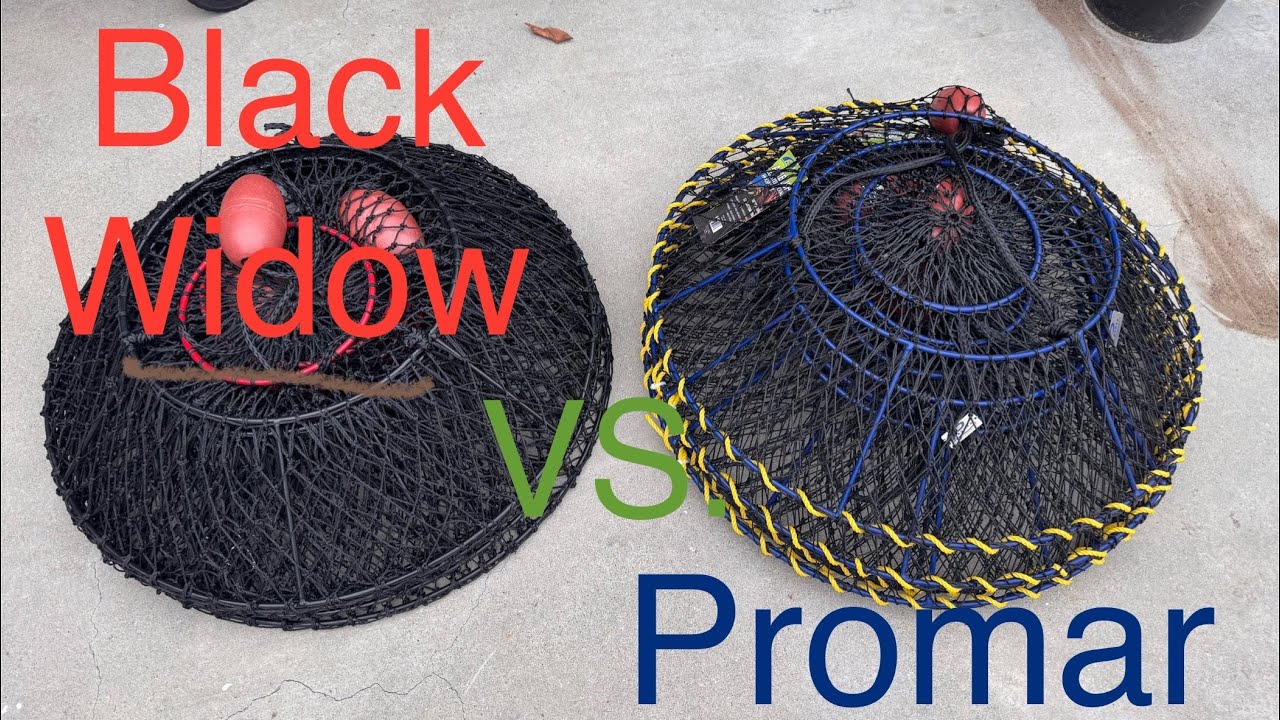 Black Widow Vs. Promar Hoop Net