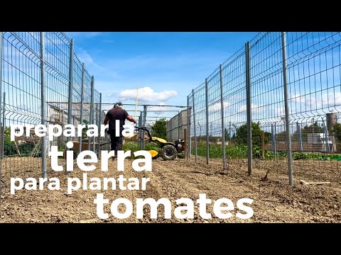 Video: Cómo crear un jardín en una botella: 6 pasos (con imágenes)
