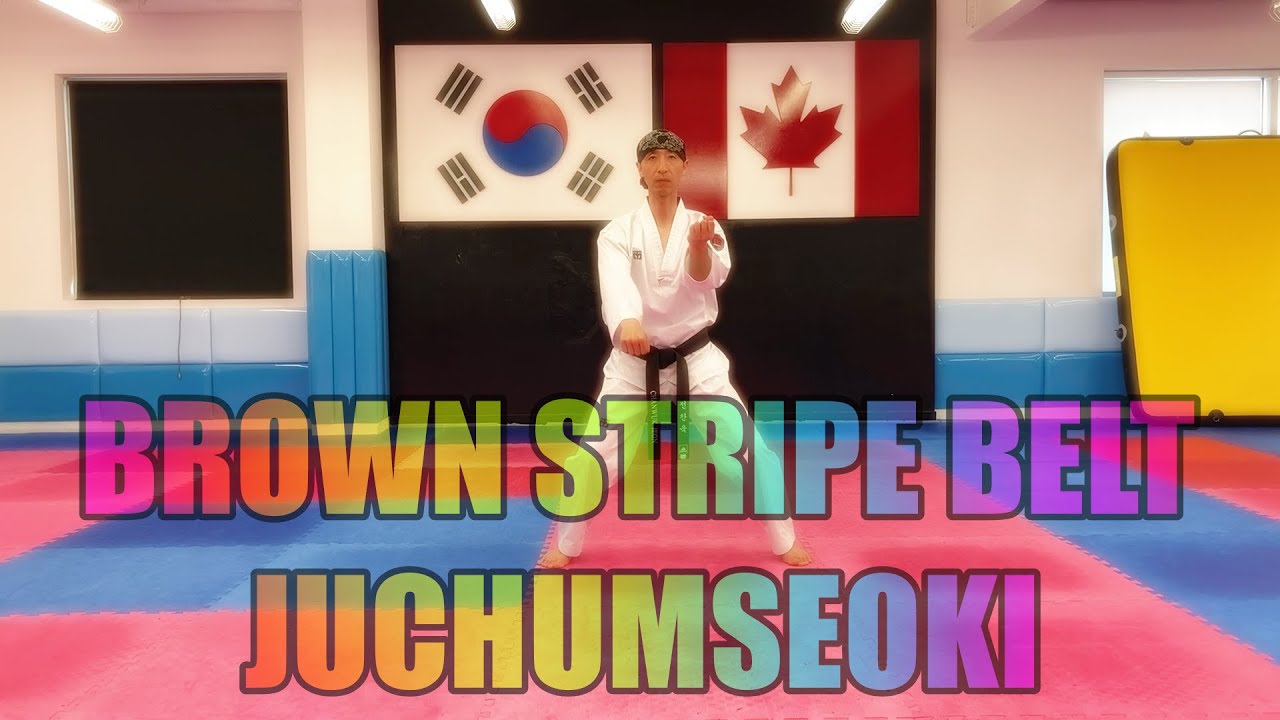 BROWN STRIPE BELT JUCHUMSEOKI