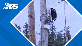 School zone speed cameras in Everett begin enforcement