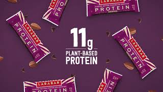 Larabar Plant-Based Protein Bar 15