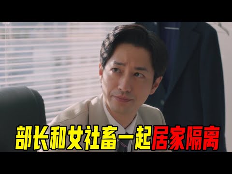 帅气部长和女下属居家隔离，午饭吃一半突然开车，这才是成年人的隔离生活啊！催婚日剧《部长与社畜的恋情让人着急》p11
