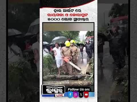 ହାଇ ଆଲର୍ଟରେ ରାୟଗଡା କୋରାପୁଟ...#CycloneArnab #Ganjam #Raygada #Odishanews #Shorts