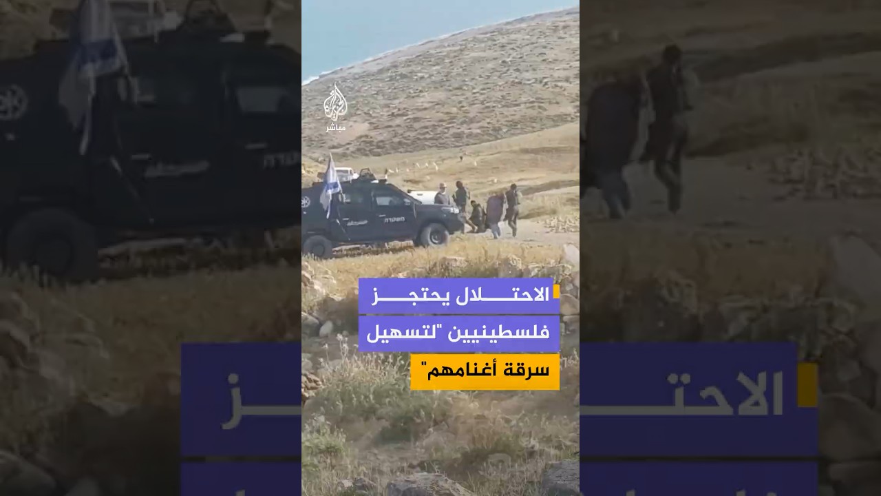 الاحتلال يحتجز فلسطينيين "لتسهيل سرقة أغنامهم"