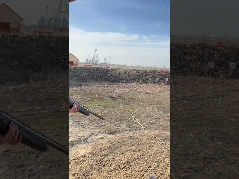 Мр155 стрельба по тарелочкам #fishing #рыбалка #tiktok #охота #мр155 #shorts