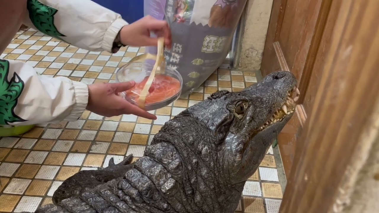 情人節巧克力被拒收了... 縮圖