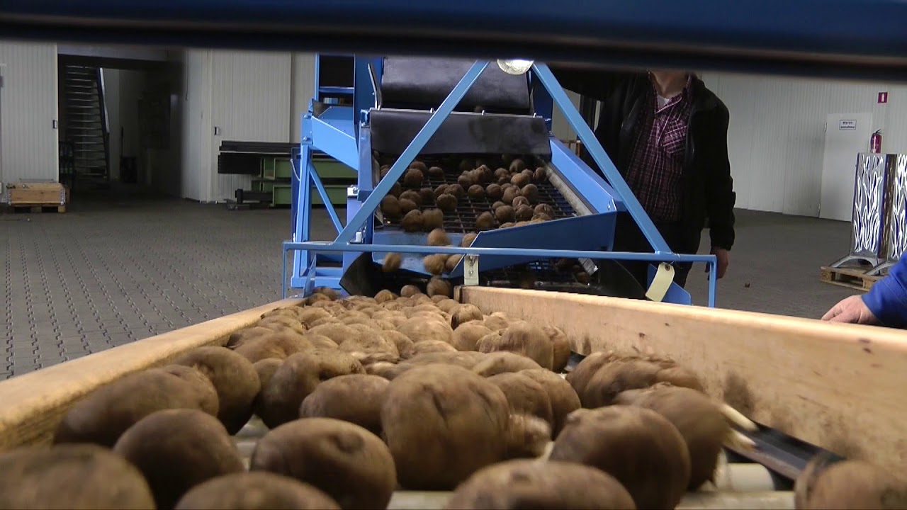 EURO-Jabelmann Kartoffel Sortieranlage
