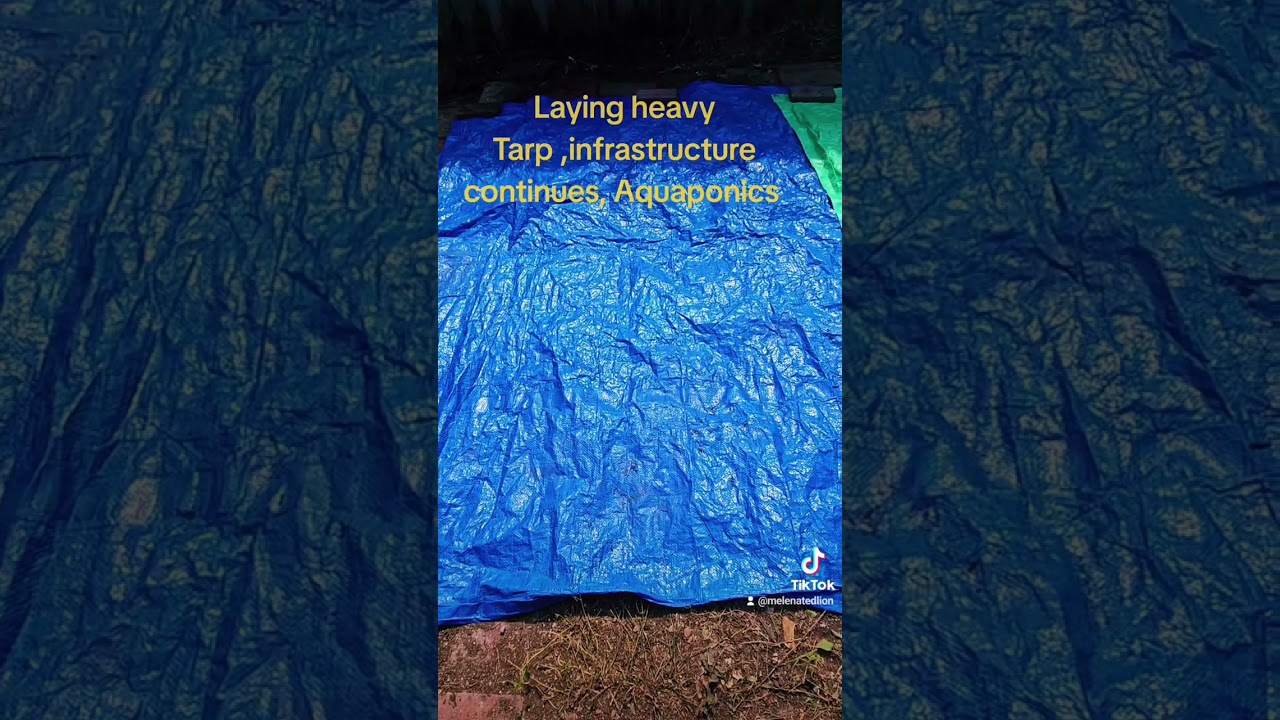 Laying tarp over pavers prepping for new greenhouses, infrastructure, diy solar powered Aquaponics