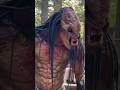 मनुष्य के रूप मेंआदमखोर #predatorprey #prey #monster #predatorvsprey#scary #predatory #youtubeshorts