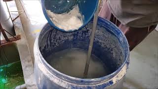 Continuous Chemical Dosing in (RAS) recirculating aquaculture systems for mud crab