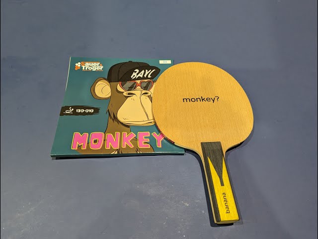 Picots Longs Sauer & Tröger Monkey – Certifiés ITTF, Rouge/noir/bleu, éponge Moyenne, Jeu Défensif+