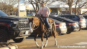 Murphy***For info, price, etc., go to our website: ValleyViewRanch.net***