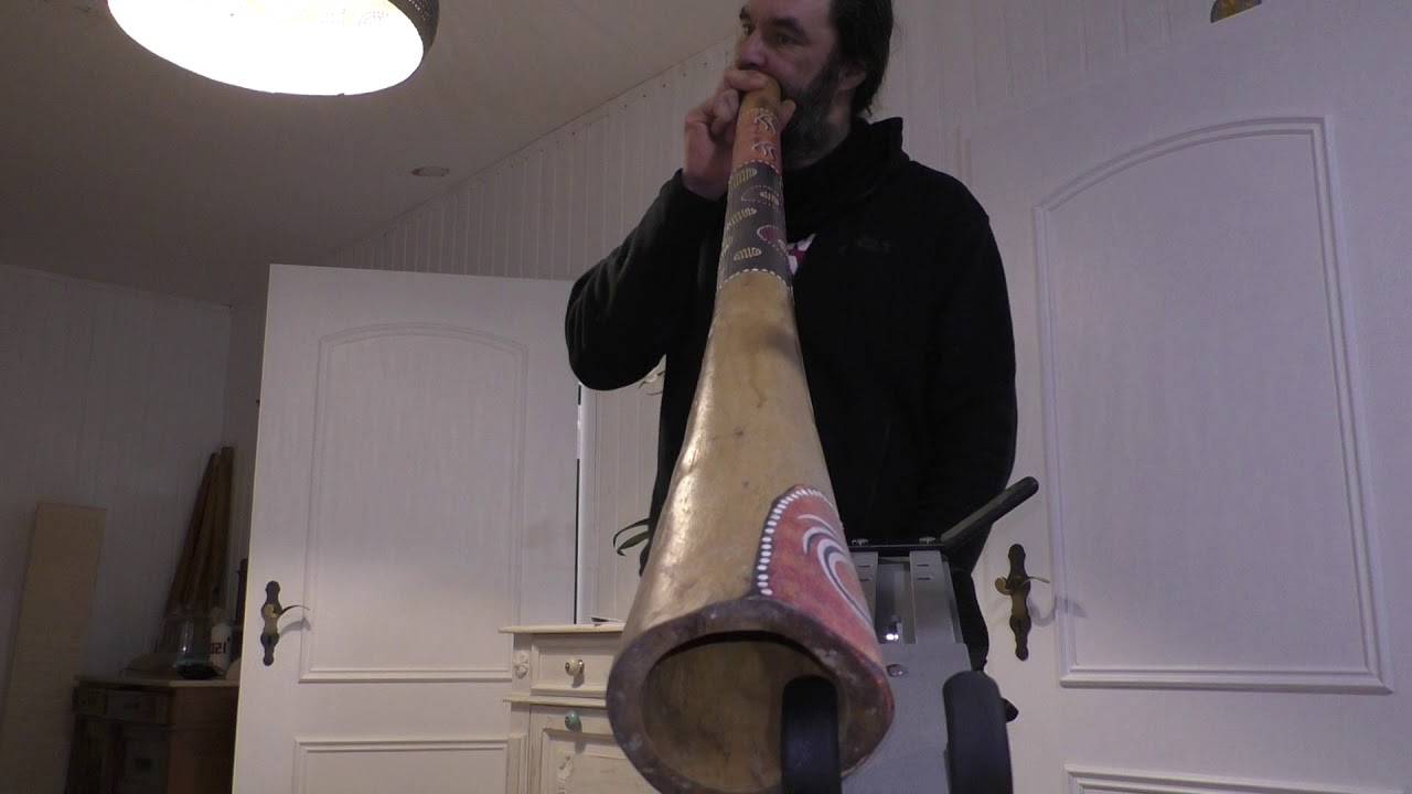 Didgeridoo Eukalyptus in F