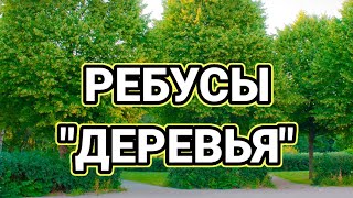 РЕБУСЫ "ДЕРЕВЬЯ"