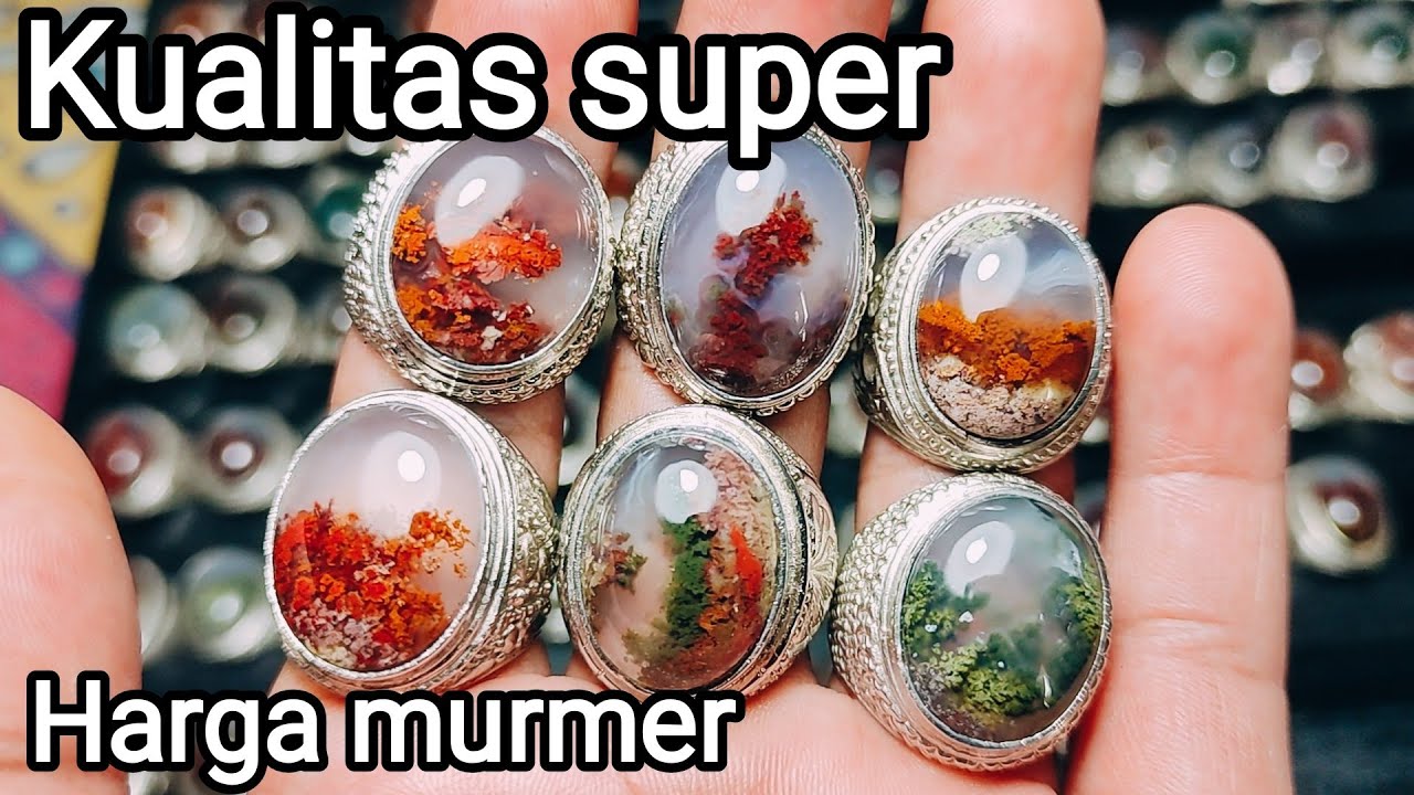 Watu lumut || Kualitas super harga murmer EPS 17 - YouTube