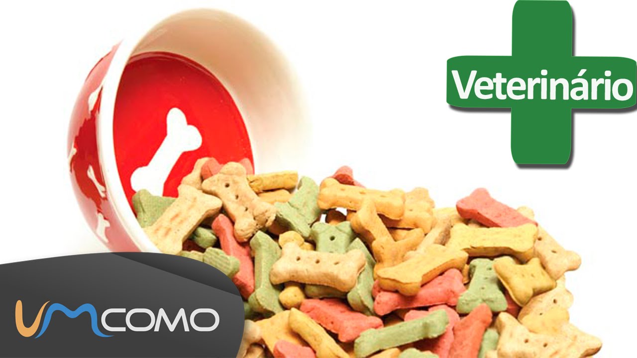 FAZENDO BISCOITOS PARA CACHORROS RECEITA CASEIRA