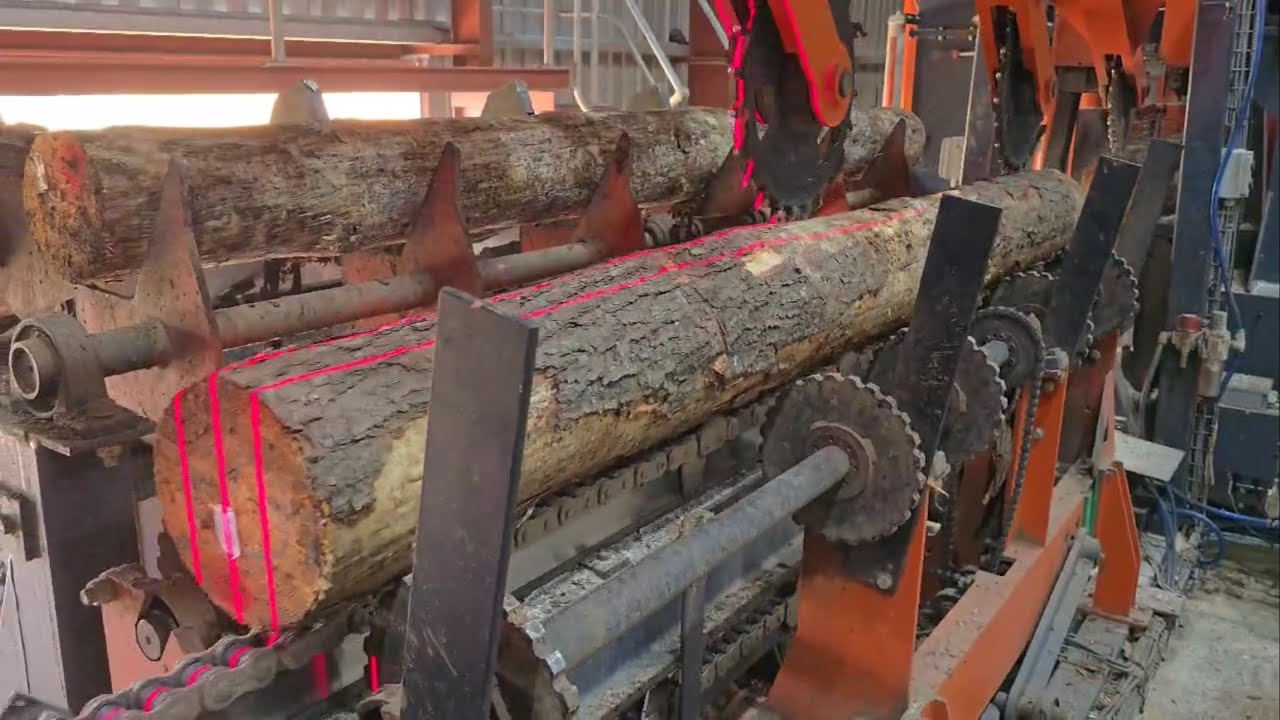 Wood-Mizer TV-2000 Industrial Sawmill