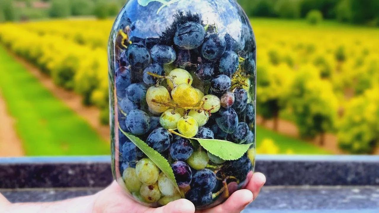 ¡Uvas fermentadas, la botana más rica que he probado!