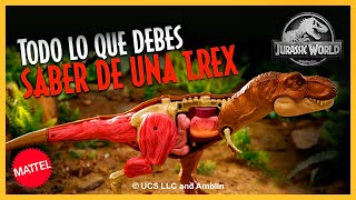 Conoce a una T-Rex desde los ojos hasta la punta de sus patas, será...