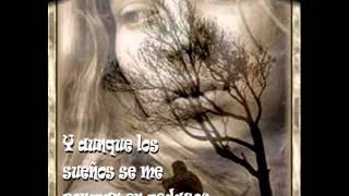 Resistiré - Estela Raval.wmv