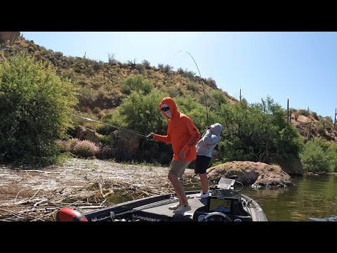 Fishin 48 Cactus Cup Bass fishing tournament on Bartlett lake Arizona!
