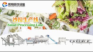 Automatic Vegetable & Fruit Cutting Washing Production Line, Salad Vegetable Processing Line