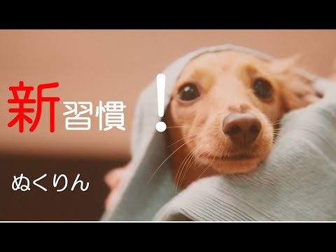 EARTH PET TV-CM「ぬくりんTVCM 2021」