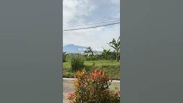 KH Abuya Uci Turtusi Cilongok Banten #shots #video #abuyauci