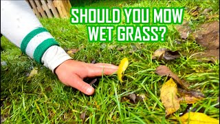 Should You Mow Wet Grass?
