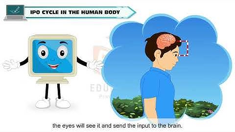 HOW DOES A COMPUTER WORK?     CLASS-2
