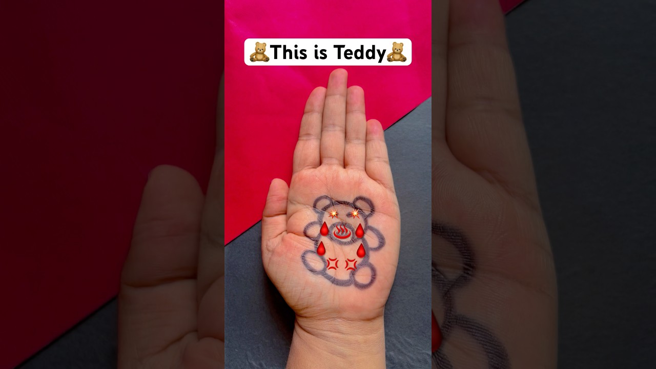 🧸 this is Teddy 🧸 