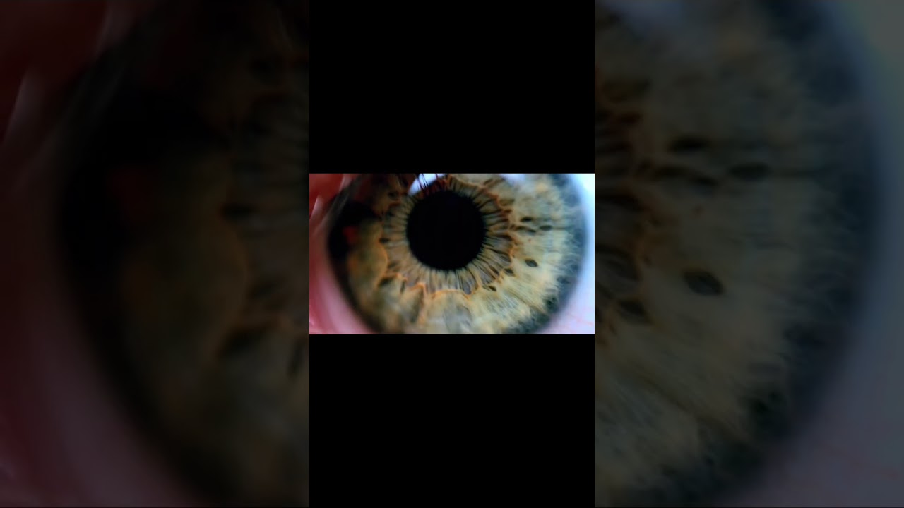 more beautiful macro photography on my channel💗😍 