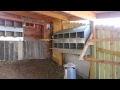 My Big Backyard Chicken Coop