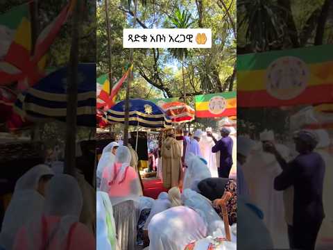 ታቦቱ እየወጣ ነው