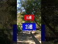 【立ちごけ?ウィリー?】ダックス125でウィリーして走行不能になったバイク女子 #shorts