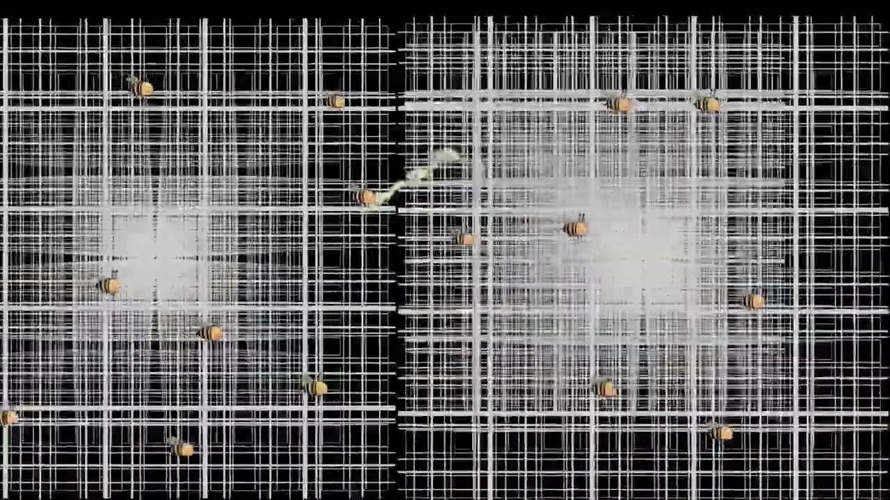 Can you find out how many bees there are?