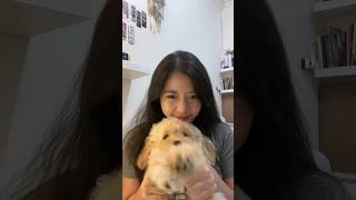 Heyday heyday xodiac heydaychallenge xbliss