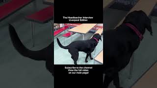 UK Headteacher Interview 😱 pt:4 #education #shorts #headteacher