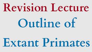 Revision | Outline of Extant Primates | Characteristics & Distribution | NET JRF Anthro Batch 2026