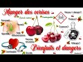 Cerises Bienfaits Et Dangers Santé Au Naturel Enquête Naturopathie Cerises Bienfaits Et Dangers Santé Au Naturel Enquête Naturopathie