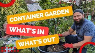 Container Garden Growing in Tiny Spaces   Harvests, Planting Out and Dwarf Fruit Tree Update by My Family Garden 3,104 views 11 months ago 14 minutes, 17 seconds